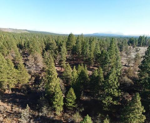 lot2 Panda Ln, Bonanza, OR 97623