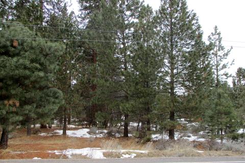 3525 Cayuse Cir, Chiloquin, OR 97624