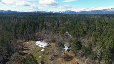 389 Pine Cone Dr, Cave Junction, OR 97523 photo 23