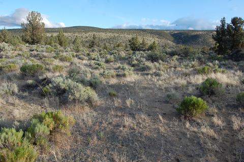 0 Highway 20, Bend, OR 97701 photo 15