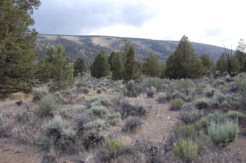 0 Highway 20, Bend, OR 97701 photo 7