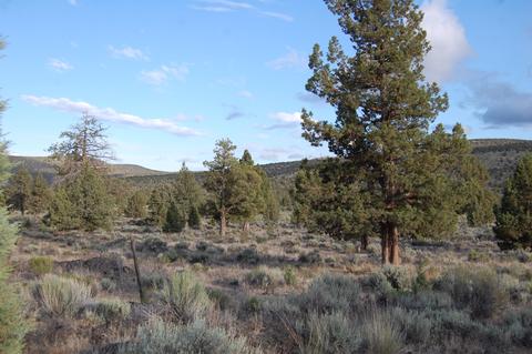 0 Highway 20, Bend, OR 97701 photo 12