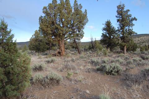 0 Highway 20, Bend, OR 97701 photo 10