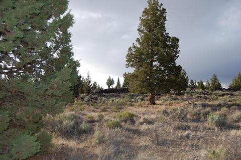 0 Highway 20, Bend, OR 97701 photo 5