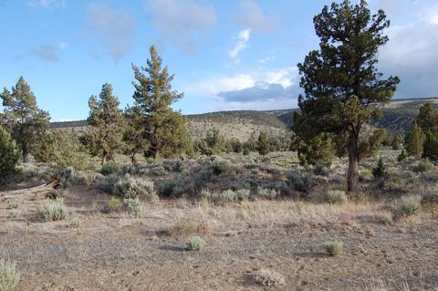 0 Highway 20, Bend, OR 97701 photo 2