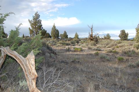 0 Highway 20, Bend, OR 97701 photo 8
