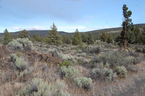 0 Highway 20, Bend, OR 97701 photo 6