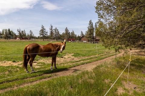 22860 Nelson Rd, Bend, OR 97701 photo 73