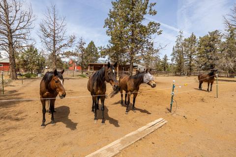 22860 Nelson Rd, Bend, OR 97701 photo 74