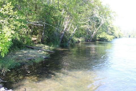 Old Ferry Road, Trail, OR 97541 photo 30