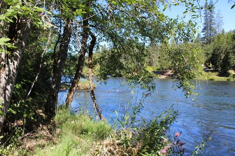 Old Ferry Road, Trail, OR 97541 photo 22