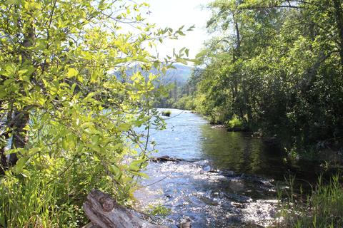 Old Ferry Road, Trail, OR 97541 photo 29