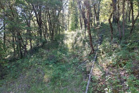 Old Ferry Road, Trail, OR 97541 photo 19