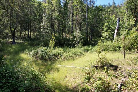 Old Ferry Road, Trail, OR 97541 photo 10