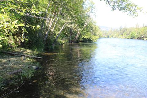 Old Ferry Road, Trail, OR 97541 photo 28