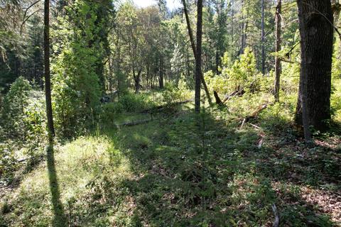 Old Ferry Road, Trail, OR 97541 photo 11