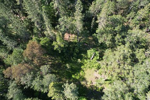 Old Ferry Road, Trail, OR 97541 photo 9