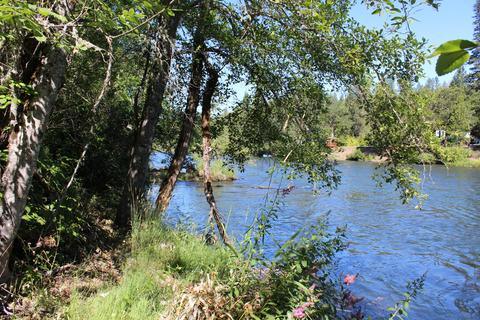 Old Ferry Road, Trail, OR 97541 photo 24