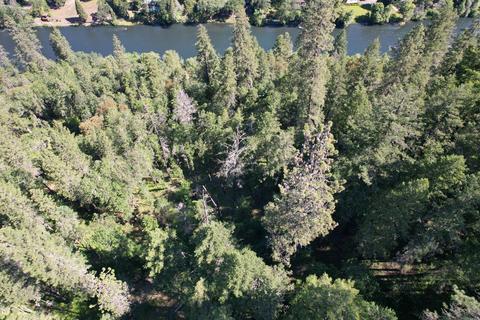 Old Ferry Road, Trail, OR 97541 photo 18