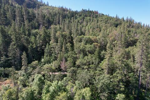 Old Ferry Road, Trail, OR 97541 photo 17