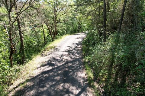 Old Ferry Road, Trail, OR 97541 photo 21