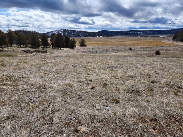 lot1134 Murrelet Rd, Klamath Falls, OR 97603