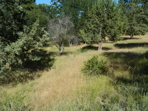 lot916 Redstart Rd, Klamath Falls, OR 97601