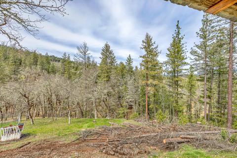 1010 Danconia Dr, Trail, OR 97541 photo 29