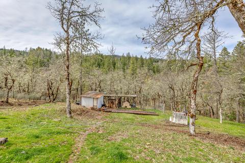 1010 Danconia Dr, Trail, OR 97541 photo 28