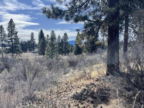 Irving Way, Chiloquin, OR 97624