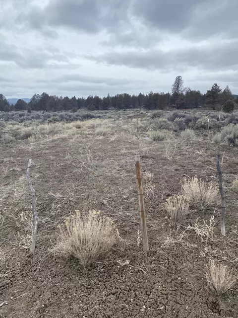38205 Highway 140, Beatty, OR 97621
