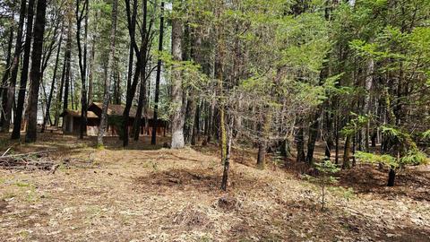 262 Taurus Ln, Cave Junction, OR 97523 photo 1
