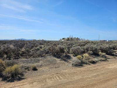 1602 S Candy Ln, Christmas Valley, OR 97641