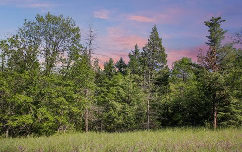 6746 Old Highway 99 S, Ashland, OR 97520