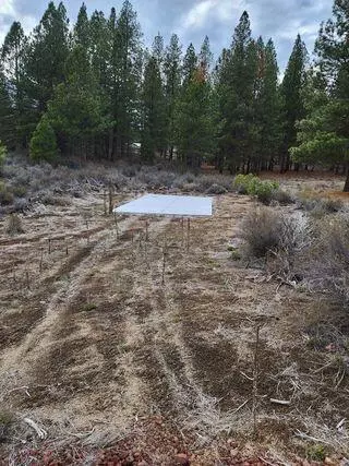Pine Ridge Loop, Chiloquin, OR 97624 photo 7
