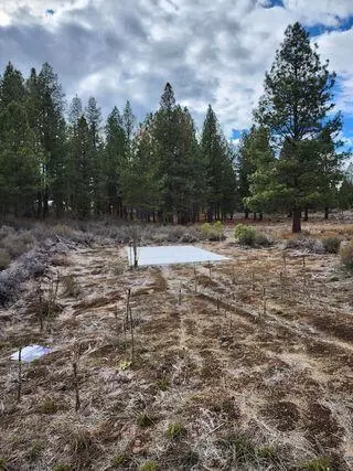 Pine Ridge Loop, Chiloquin, OR 97624 photo 8