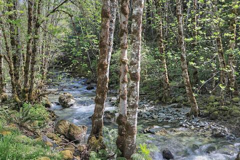 9703 Deer Creek Rd, Selma, OR 97538