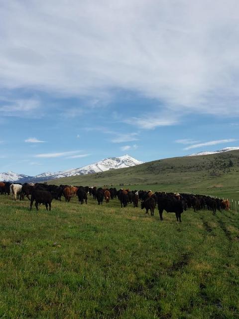 27542 Indian Creek Rd, John Day, OR 97845