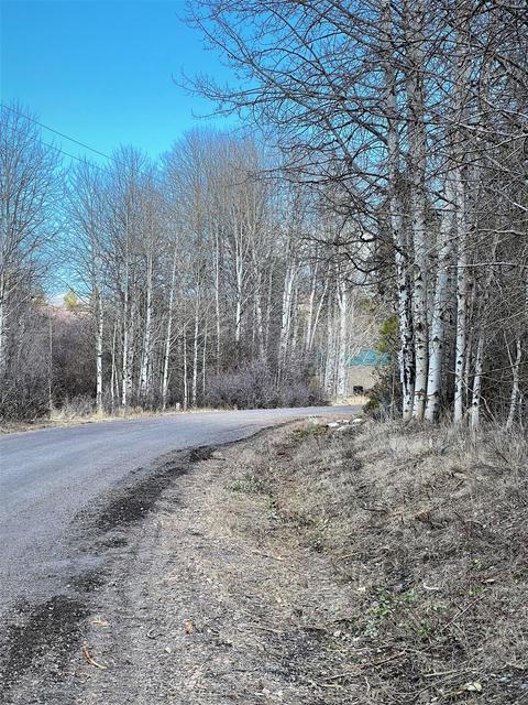Forest View Drive, Chiloquin, OR 97624 photo 6