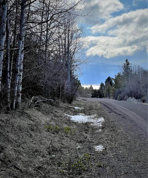 Forest View Drive, Chiloquin, OR 97624 photo 7