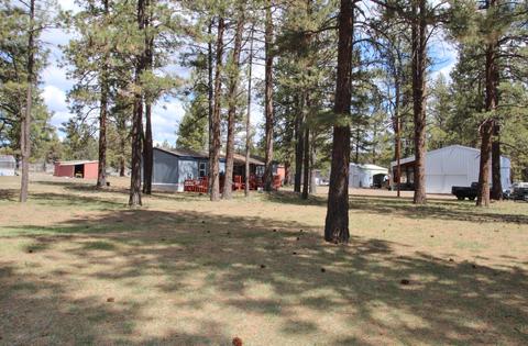 32425 Keno Springs Rd, Bonanza, OR 97623