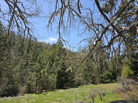 290 Star Gulch Rd, Applegate, OR 97530