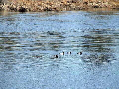 Sprague River Rd, Chiloquin, OR 97624