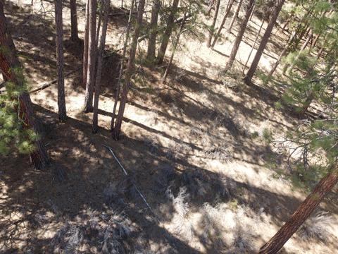 Sprague River Rd, Chiloquin, OR 97624 photo 6