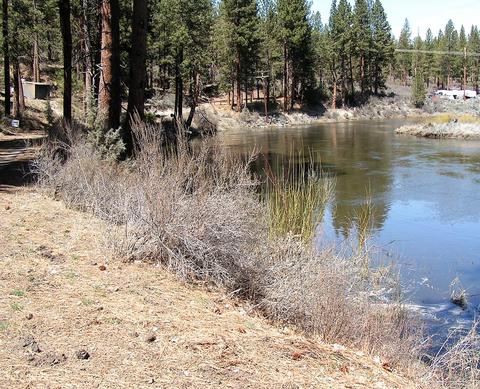 Sprague River Rd, Chiloquin, OR 97624 photo 3