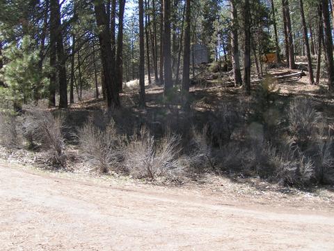 Sprague River Rd, Chiloquin, OR 97624 photo 7