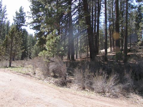 Sprague River Rd, Chiloquin, OR 97624 photo 8
