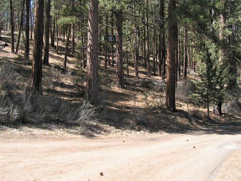 Sprague River Rd, Chiloquin, OR 97624 photo 4