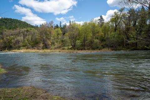 1202 Green Tree Loop, Grants Pass, OR 97527 photo 2