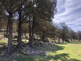 Lot 1151 Parula, Klamath Falls, OR 97601